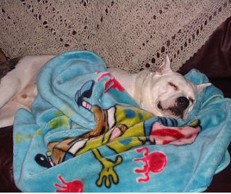 peanutalbum2nappingGator.JPG
